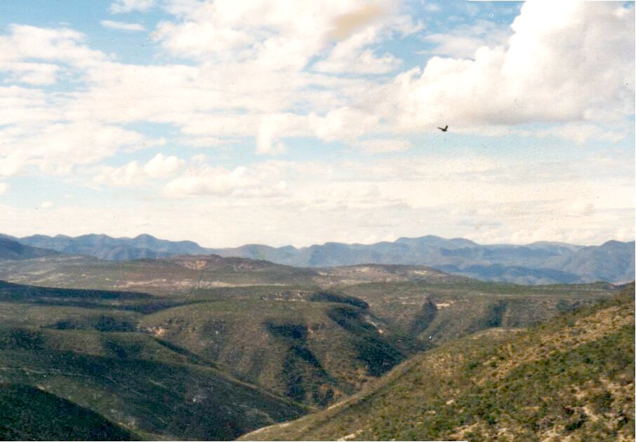 Teaching English In Oaxaca Mexico Jobs News Certification teaching-english-in-oaxaca-mexico-jobs-news-certification