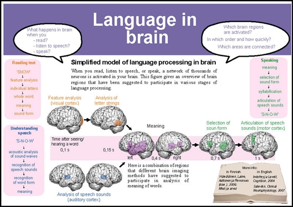 Natural Language Processing for Translation