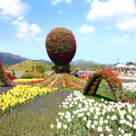 Teaching English in Suncheon, South Korea: Spotlight on the Environment, A Garden City