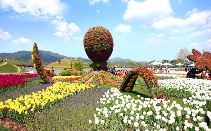 Teaching English in Suncheon, South Korea: Spotlight on the Environment, A Garden City