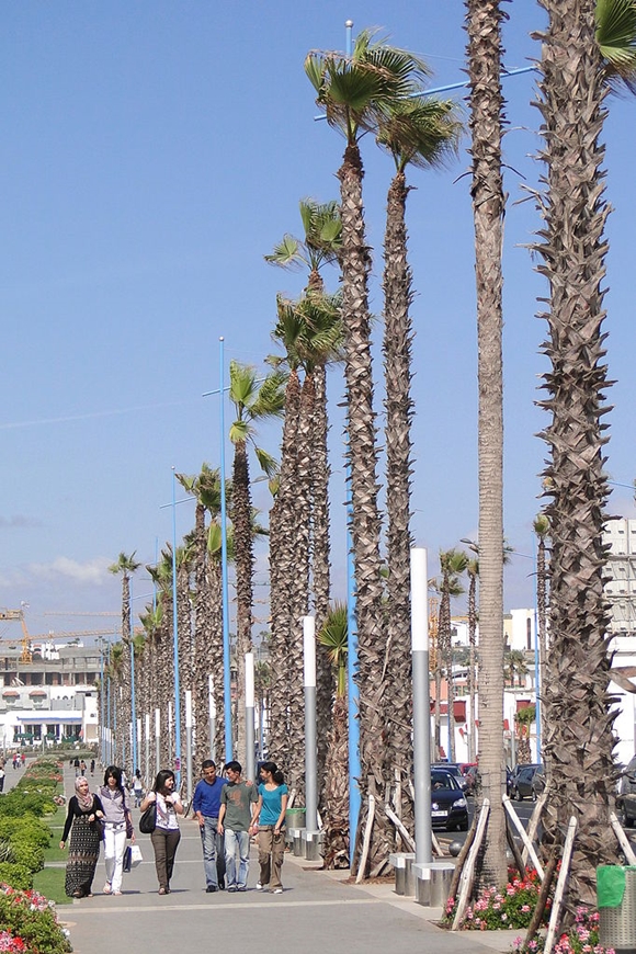 Teaching English in Casablanca, Morocco Jobs & Certification