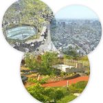 Teaching English in Tokyo, Japan, Spotlight on the Environment, Green Rooftops