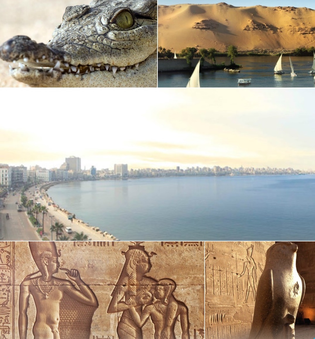 #TeachAbroad & Explore Egypt, Jobs, News, #TESOL Certification