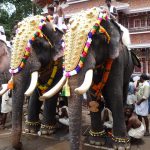 Celebrate Thrissur Pooram in Kerala, India