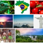 Brazil is Paradise, Go Ahead and Teach English Abroad